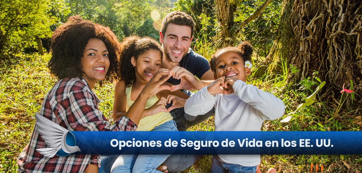 Explorando las Opciones de Seguro de Vida en los EE. UU.