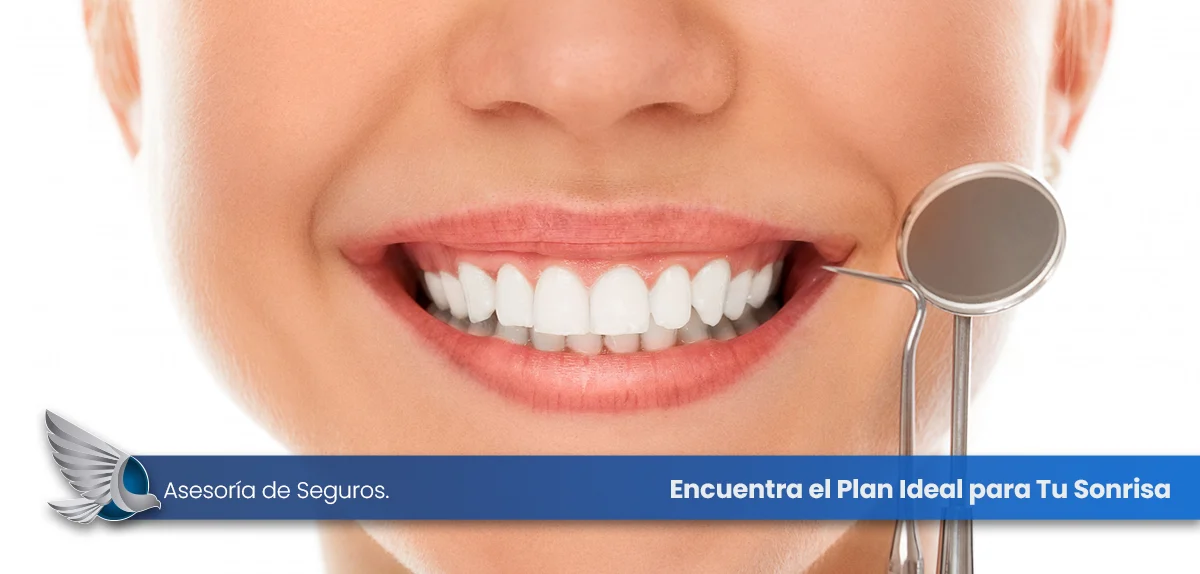 Seguros Dentales: Encuentra el Plan Ideal